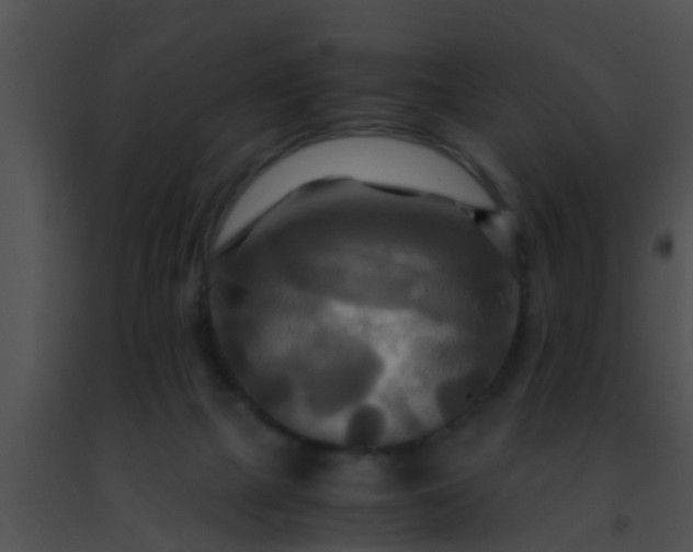 X0000091500073200708302006