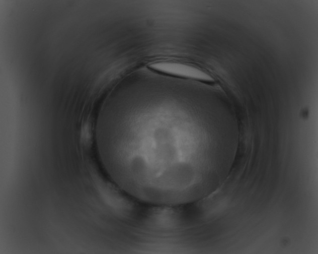 X0000091500074200708302006