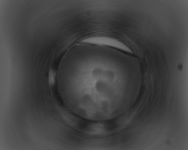 X0000091500075200708302007