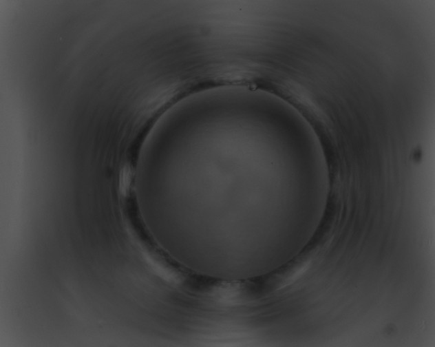 X0000091500076200708302007