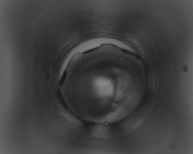 X0000091500077200708302007