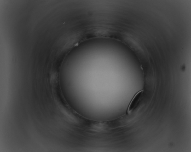 X0000091500079200708302007