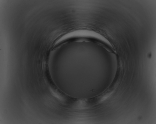 X0000091500080200708302007