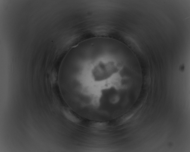 X0000091500081200708302007