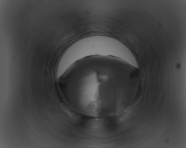 X0000091500082200708302007