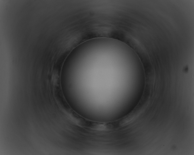 X0000091500083200708302007