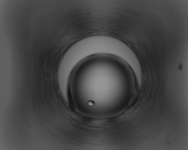 X0000091500084200708302007