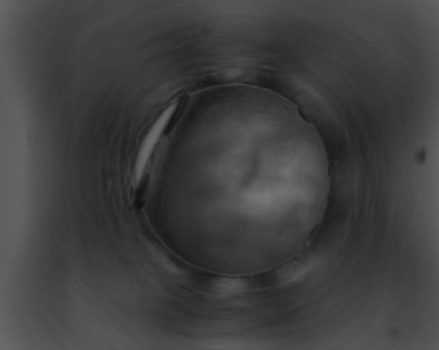 X0000091500085200708302007