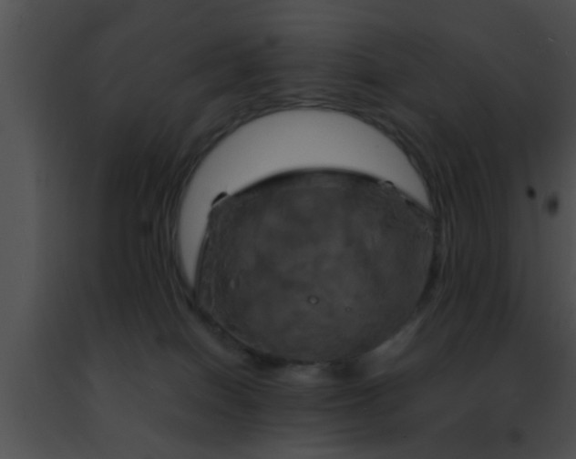 X0000091500086200708302007