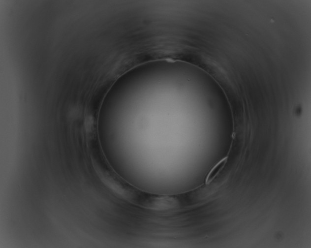 X0000091500087200708302007