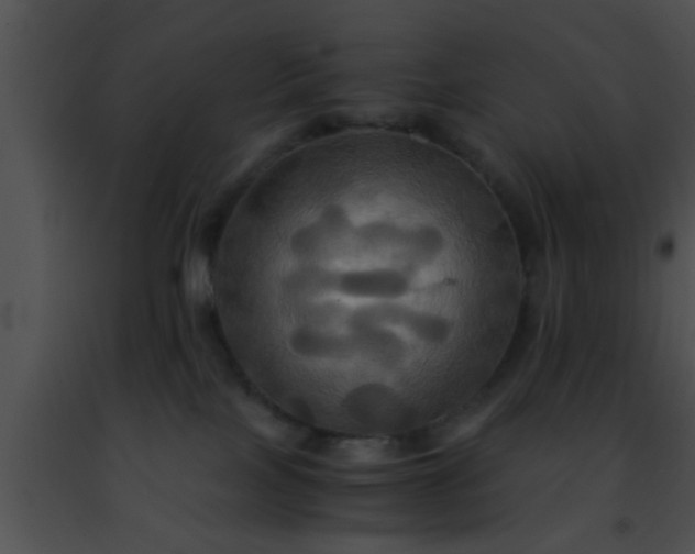 X0000091500089200708302007