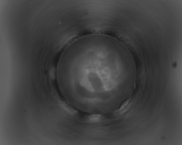 X0000091500090200708302007