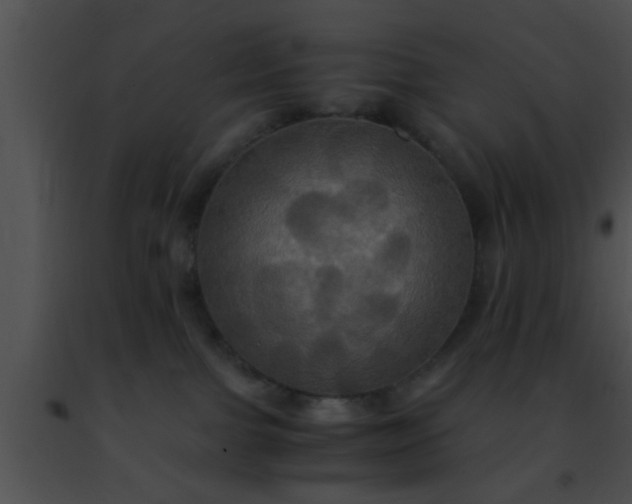 X0000091500091200708302007