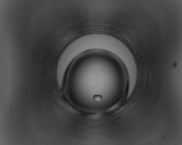 X0000091500092200708302007