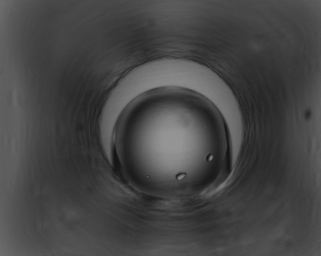 X0000091500094200708302007