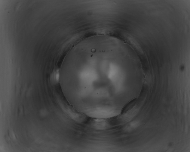 X0000091500095200708302007