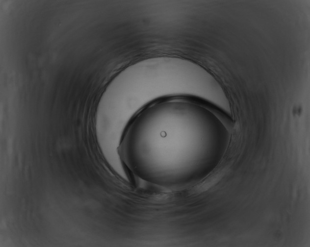 X0000091500096200708302007