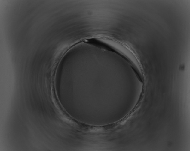 X0000091500097200708302006