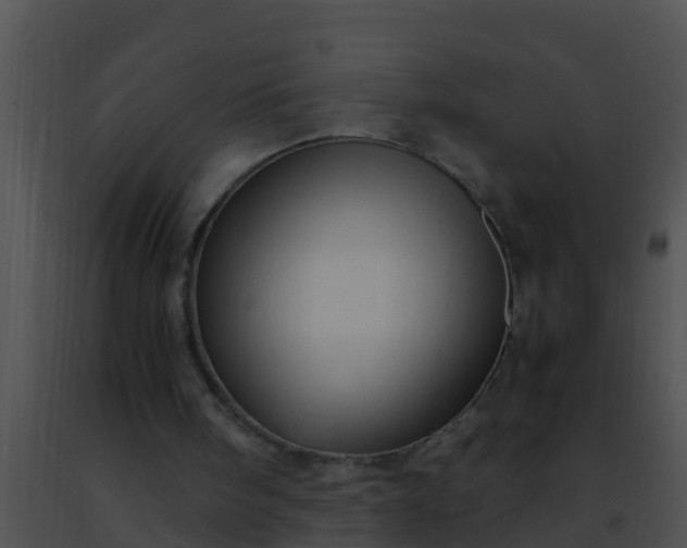 X0000091500098200708302006