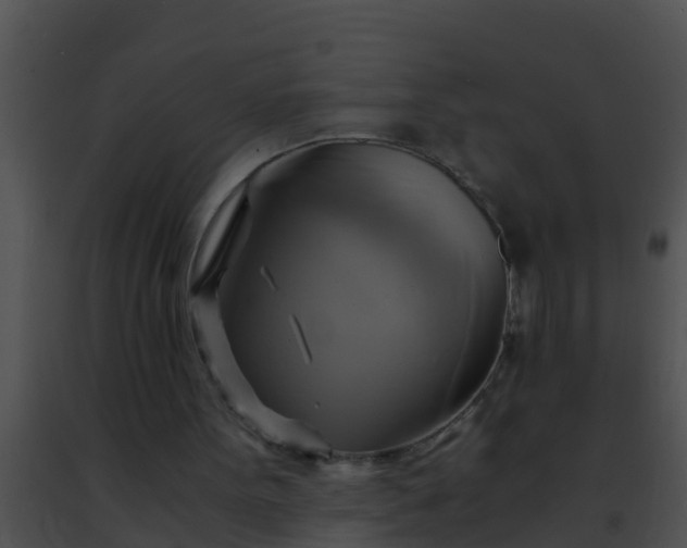 X0000091500099200708302006