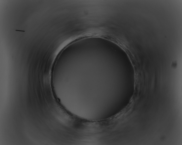 X0000091500100200708302006