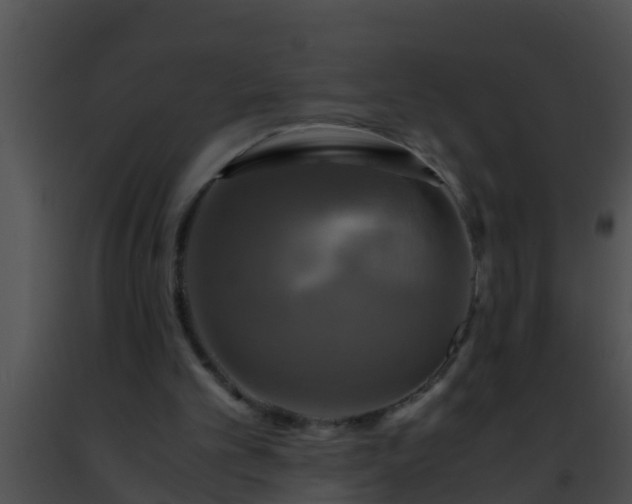 X0000091500101200708302006