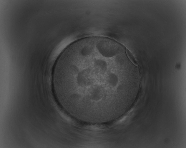 X0000091500103200708302006