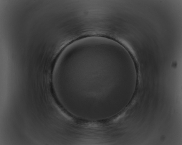 X0000091500105200708302006