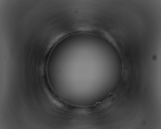 X0000091500106200708302006