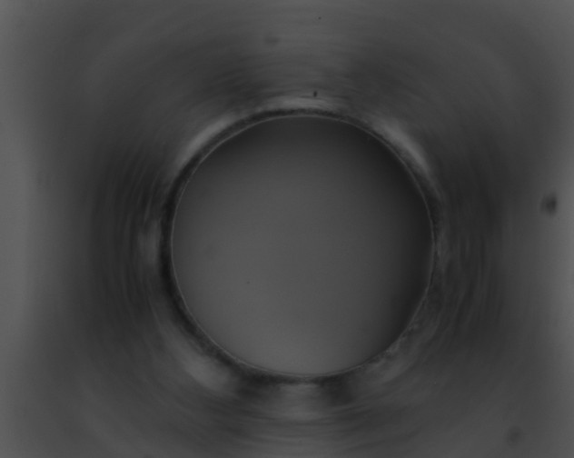 X0000091500108200708302006