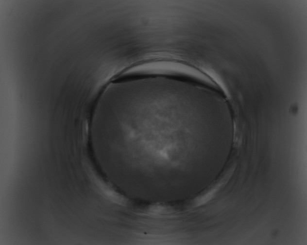 X0000091500109200708302006