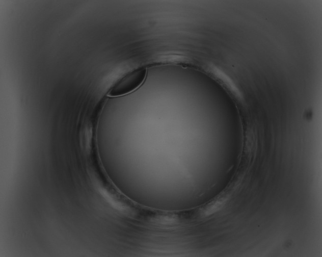 X0000091500110200708302006