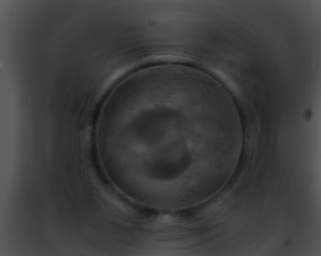 X0000091500111200708302006