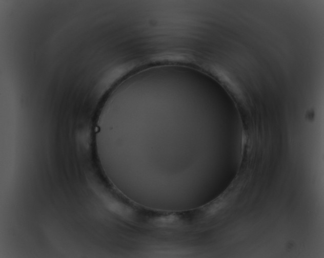 X0000091500112200708302006