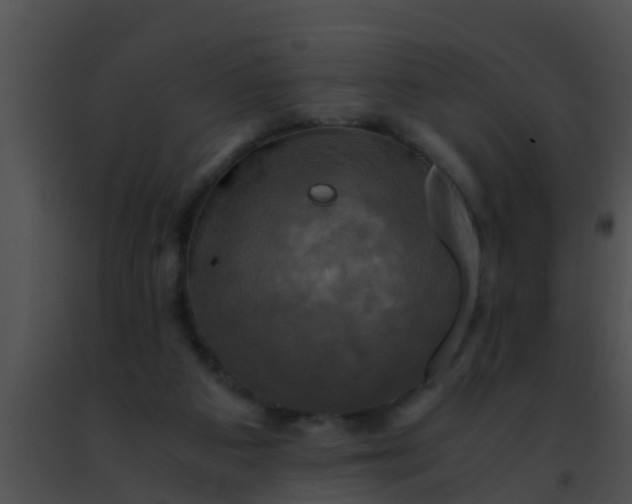 X0000091500113200708302006