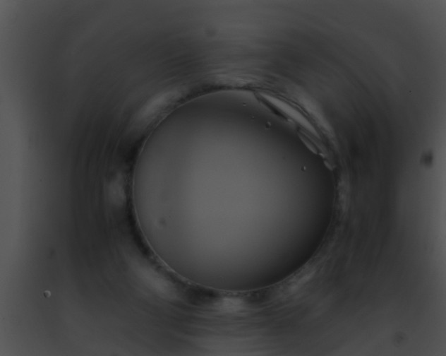 X0000091500114200708302006