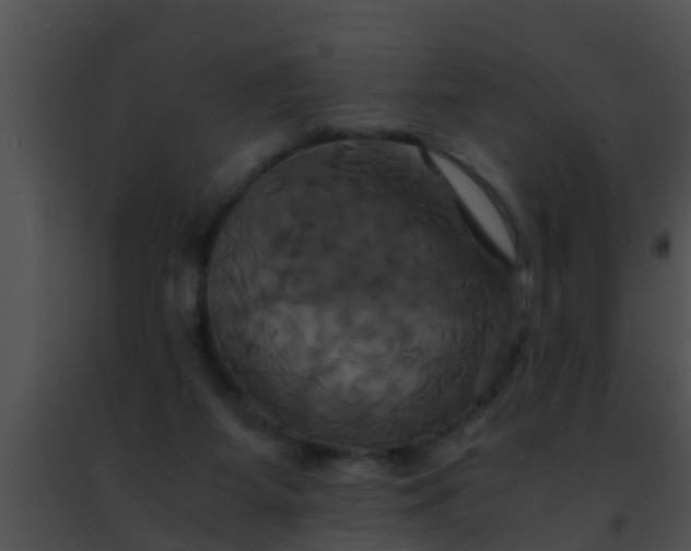 X0000091500115200708302006