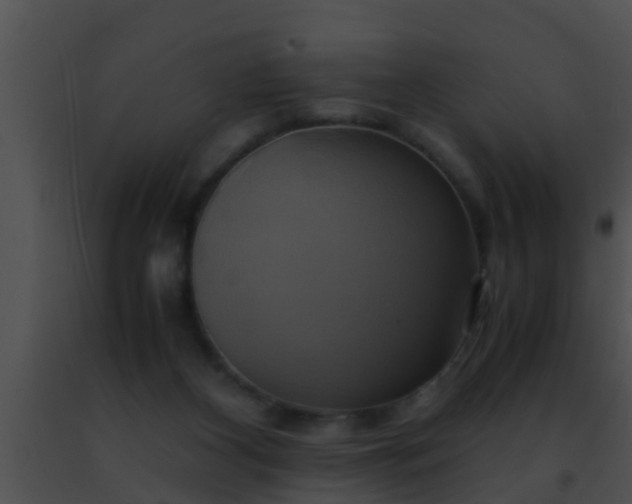 X0000091500116200708302006