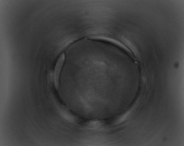 X0000091500117200708302006