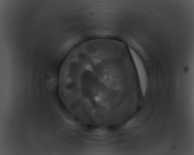 X0000091500119200708302006