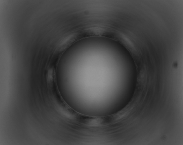 X0000091500122200708302006