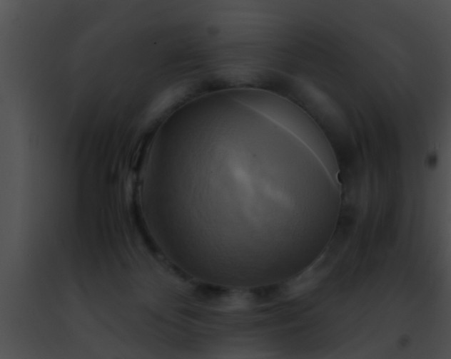 X0000091500124200708302006