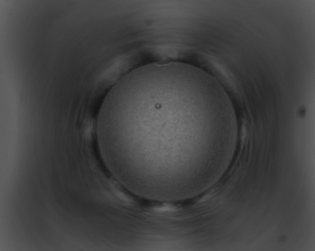 X0000091500125200708302006