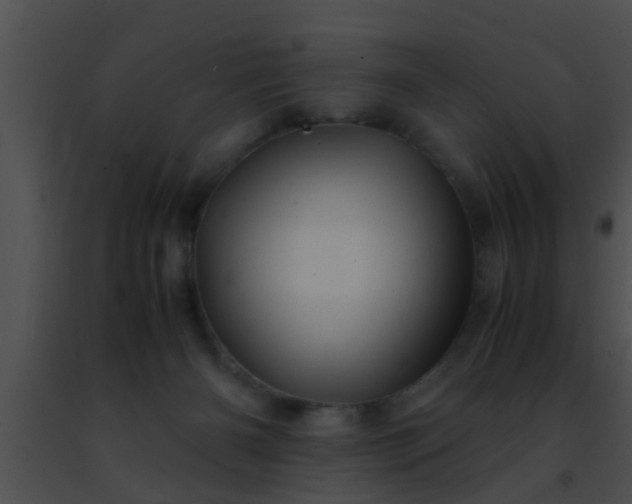 X0000091500126200708302006