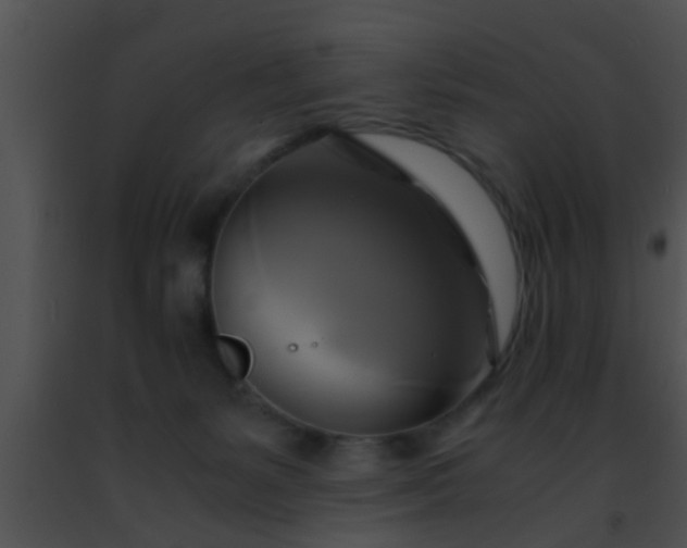 X0000091500127200708302006