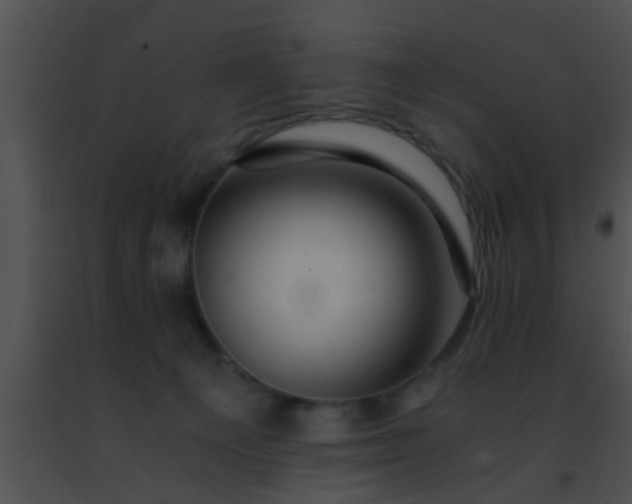 X0000091500129200708302006