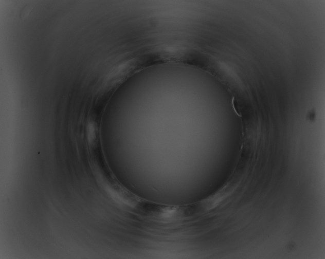 X0000091500130200708302006