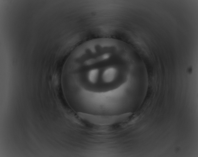 X0000091500131200708302006