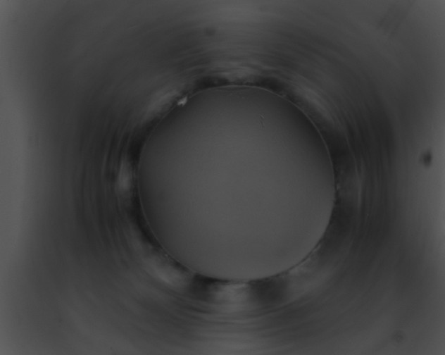 X0000091500132200708302006