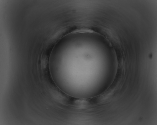 X0000091500133200708302006